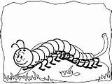 Millipede Coloring Pages sketch template