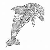 Free Printable Coloring Pages Dolphins sketch template