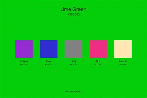 What Color Is Lime Green? Meaning, Similar Colors and How To Work With ...