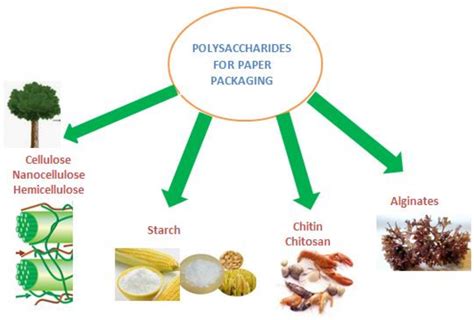 Monosaccharide Examples Food