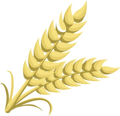 Wheat clipart icon, Wheat icon Transparent FREE for download on WebStockReview 2023