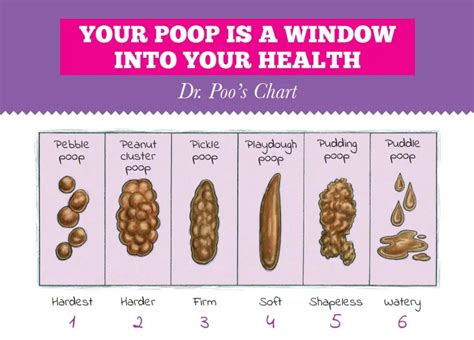 Choose Your Poo Chart