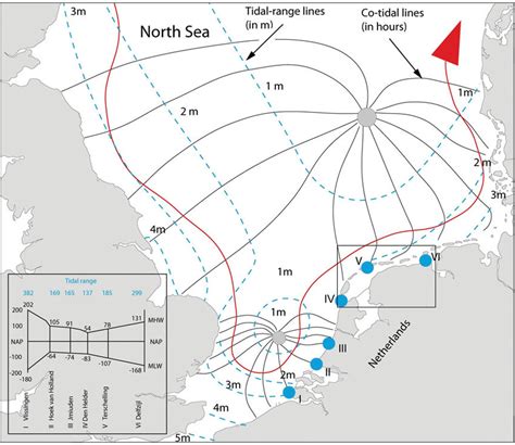 Differences in tidal ranges and the levels of high and low tide are ...