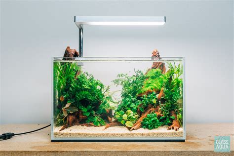 Newest nano tank project for our betta fish, Tadoe. Multiple species of ...