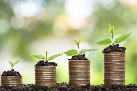 Money growing concept,Business success concept, Tree growing on pile of coins money – Society ...