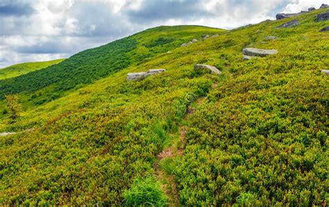 Footpath To the Mountain Top Stock Photo - Image of view, scenic: 75384300