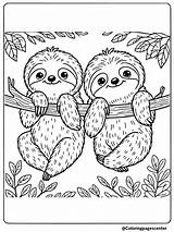 Sloth Coloring Pages  Free Printable PDFs sketch template