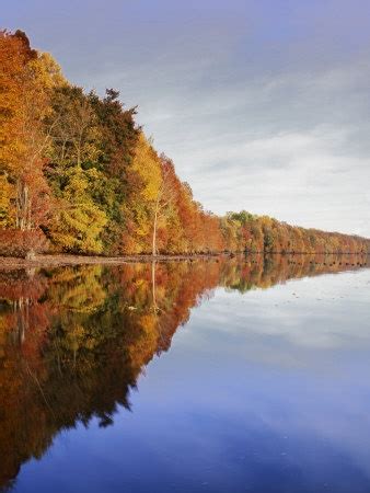 Photographic Print: Lake Drummond, Great Dismal Swamp National Wildlife ...