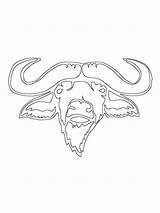 Buffalo Wild Wings Coloring Sheet Coloring Pages sketch template