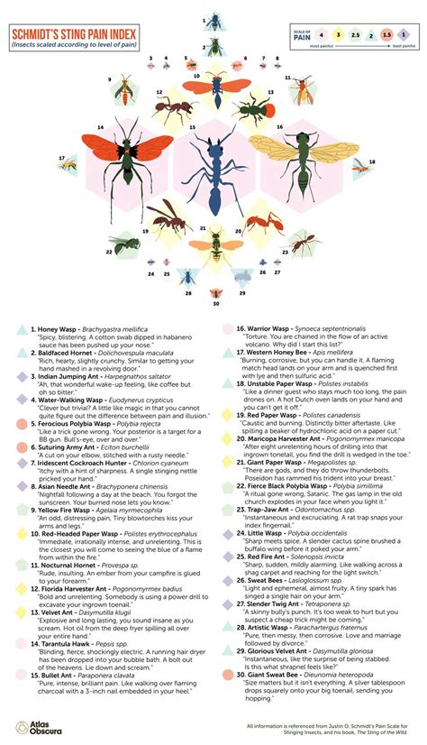 Paul' Web Logs: Ranking the Pain🐜of Stinging Insects