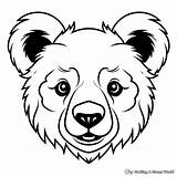 Teddy Bear Face Coloring Page Sketch sketch template