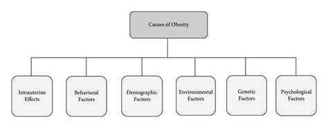 Causes of obesity. Source: [1, 2]. | Download Scientific Diagram