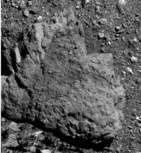 First Official Names Given to Features on Asteroid Bennu - OSIRIS-REx ...