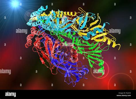 Nicotinic Acetylcholine Receptor High Resolution Stock Photography and Images - Alamy