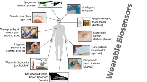 What is a Biosensor | Types of Biosensor | Working Principle of Biosensor | Applications of ...