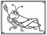 Grasshopper Coloring Sheet Pages sketch template