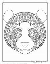 100  Panda coloring Pages Free PDF To Print Woo Coloring sketch template