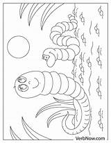 Millipede Coloring Pages sketch template