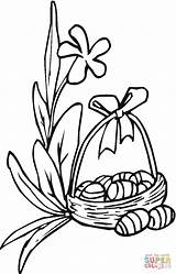 Easter Lily coloring Page  Free Printable Coloring Pages sketch template