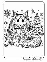 18 Maine Coon Coloring Pages  Free Printable sketch template