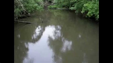 Muddy Creek - Finley Wildlife Refuge - YouTube