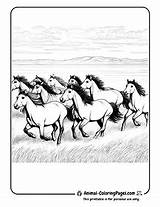 92 Horse Coloring Pages  Free Printable Sheets 🐴 sketch template