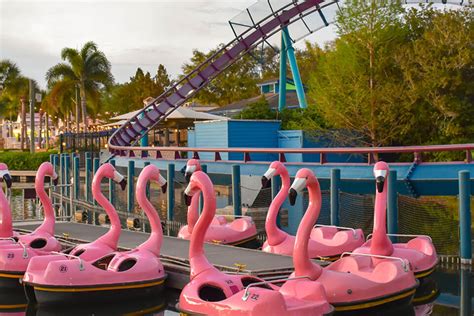 The 7 Best Sea World Rides You Can't Miss In Orlando