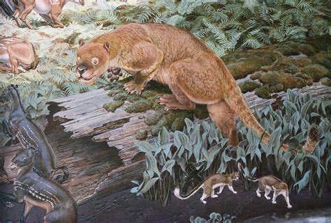 Eocene Epoch Animals