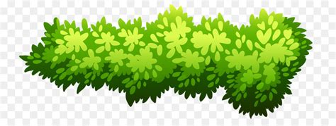 Bushes clipart green bush, Bushes green bush Transparent FREE for ...