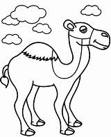 Printable Camel Coloring Pages sketch template