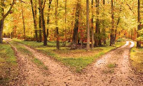 Two roads diverged in a yellow wood… | Welcome to the Dead Poets Society