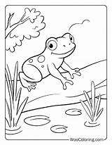 100  Toad Coloring Pages Free PDF To Print Woo Coloring sketch template