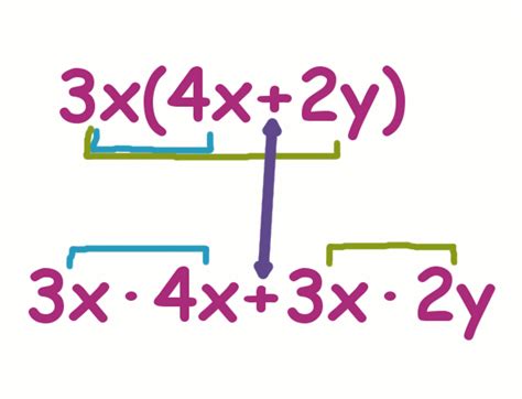 Quick & Easy: How to Multiply Polynomials, With Examples | Owlcation