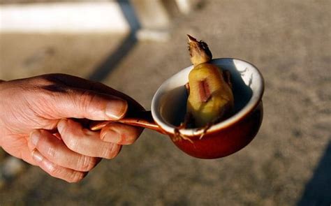 TIL about ortolan, a small bird eaten in French cuisine. The bird is ...