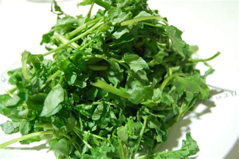 Water cress chinese soup recipe | Easy Chinese Food Recipes