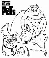 The Secret Life Of Pets Coloring Pages To Print  Free Printable sketch template
