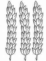 Wheat Coloring Pages sketch template