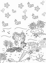 Simple coral reef Coloring Pages  Free Printable sketch template