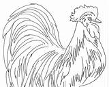 Rooster Coloring Pages Free Printable Sheets For Kids sketch template