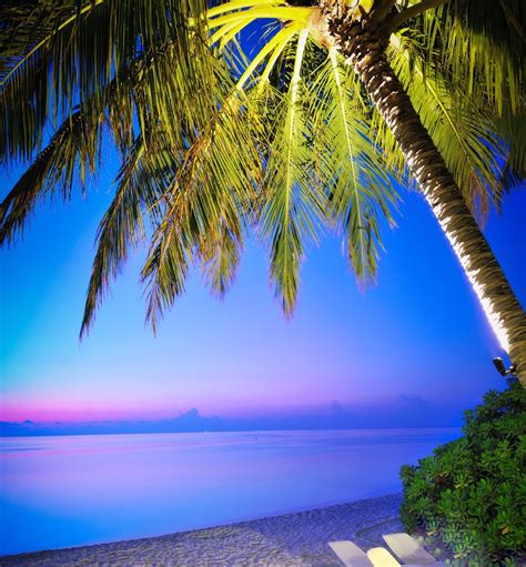 Calm sunset #maldives | Beach scenery, Beach wallpaper, Beach scenes