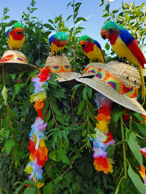 JIMMY BUFFETT MARGARITAVILLE Parrot Head Hat - Etsy