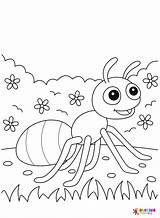 20  Ant Coloring Pages Free Printable PDF & Online sketch template