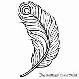 Peacock Feather Coloring Pages  Free & Printable sketch template