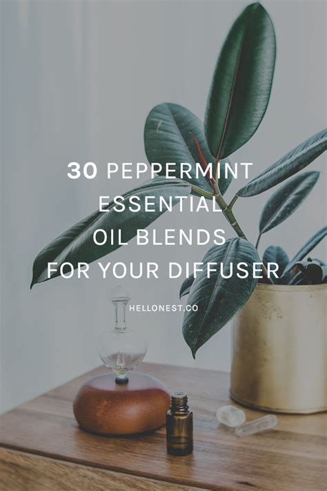 Refresh You Home + Mood with 30 Peppermint Diffuser Blends | Hello Nest