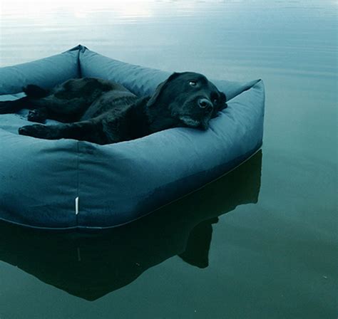 Modern Waterproof Dog Beds from Cloud7