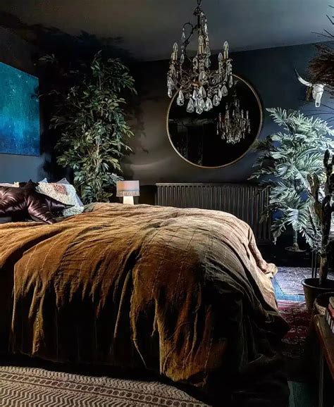 Best Plants For Bedroom Low Light | Dark Plants