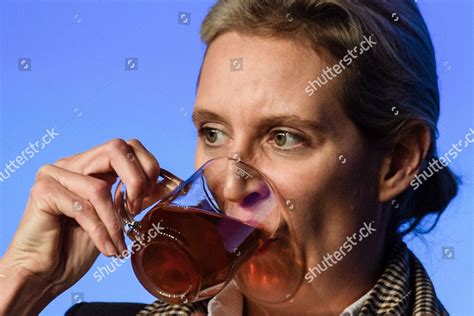 Alice Weidel Alternative Germany Alternative Fuer Editorial Stock Photo ...