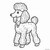 Poodle Coloring Page 7431 6284 sketch template
