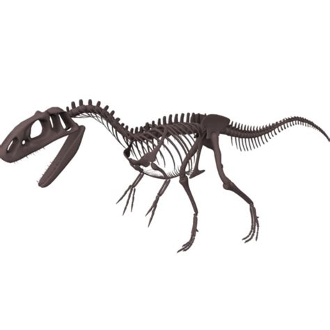 obj allosaurus skeleton dinosaur