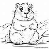Gopher Coloring Pages  Free & Printable sketch template